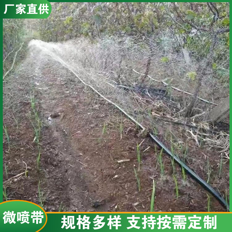 喷灌带 耐磨耐用 规格多样图1