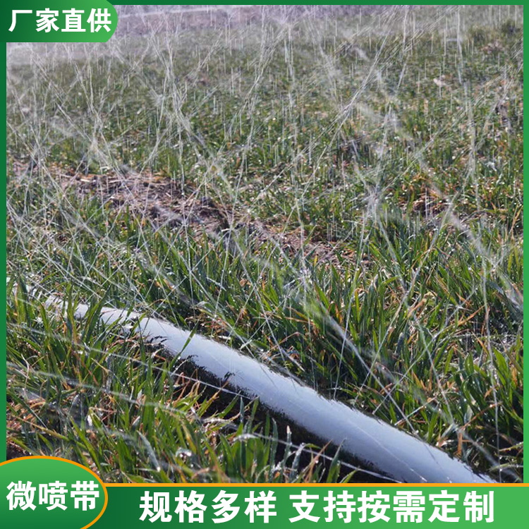 微喷带 安装简单 应用广图1