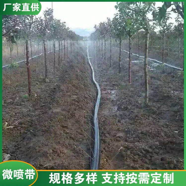 喷灌带 节水灌溉 耐腐蚀图1