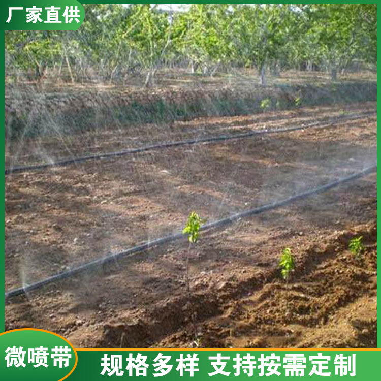 微喷带 多孔喷灌带 节水灌溉图1