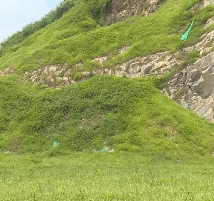 矿山复绿工程案例