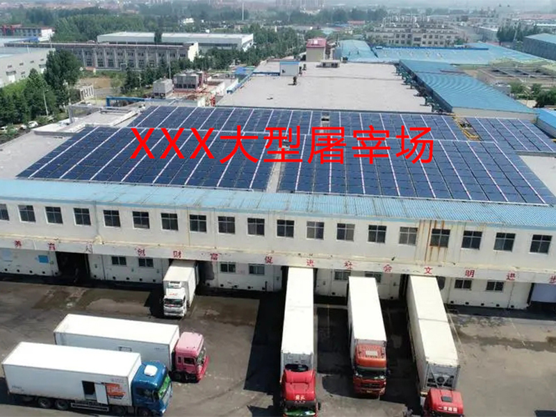 XXX大型屠宰场