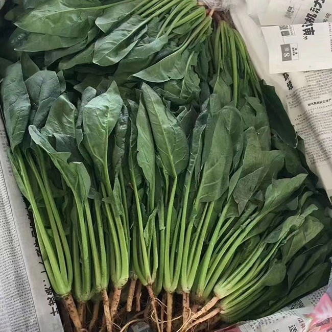 食堂蔬菜配送
